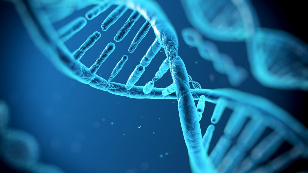 DNA Testing